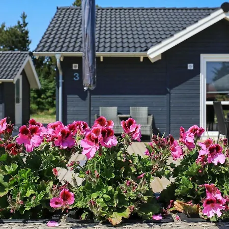Holiday Xxvi Blåvand